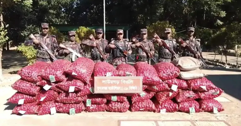 বিজিবির অভিযানে জব্দ ভারতীয় পণ্য